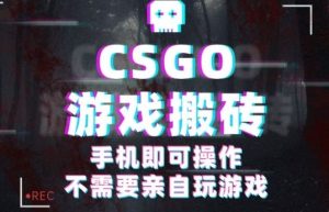 CSGO游戏挂G捡漏,单日扫货5张+,年底小高峰上车可吃肉,手机即可操作,兼职副业创业网创【揭秘】-聊项目