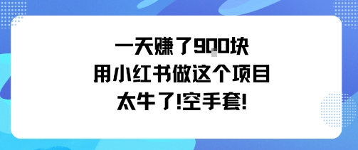 一天挣了9张用小红书做这个项目太牛了，空手套-聊项目