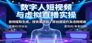 数字人短视频与虚拟直播实操,音频提取生成,背景添加,原创度提升及违规规避-聊项目