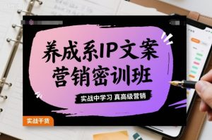 养成系IP文案营销密训班,实战中学习真高级营销-聊项目