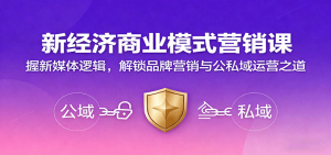 新经济商业模式营销课,握新媒体逻辑,解锁品牌营销与公私域运营之道-聊项目