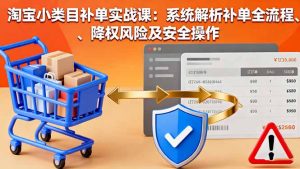 淘宝小类目补单实战课:系统解析补单全流程、降权风险及安全操作-聊项目