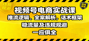 视频号电商实战课:推流逻辑、全案解析,话术框架,稳流量及违规规避等-聊项目