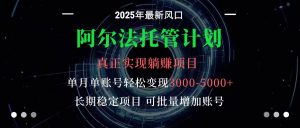 阿尔法托管计划 单账号月入3000-5000,长期稳定项目,新手小白轻松上手-聊项目