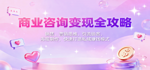 商业咨询变现全攻略:销售、营销思维,引流锁客,海报制作,快速打造私域赚钱模式-聊项目