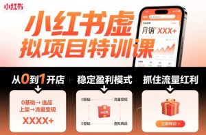 小红书虚拟项目特训课,帮你从0到1打造稳定盈利的店铺,抓住流量红利(更新9月)-聊项目
