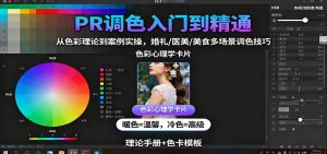 PR调色入门到精通：从色彩理论到案例实操，婚礼/医美/美食多场景调色技巧-聊项目