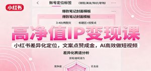 高净值IP变现课：小红书差异化定位，文案点赞成金， AI高效做短视频-聊项目