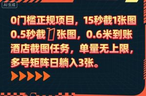 0门槛正规项目,15秒截1张图,0.6米到账,酒店截图任务,单量无上限,多号矩阵日躺入3张【揭秘】-聊项目