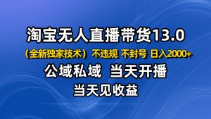 淘宝无人直播13.0,公域私域技术,不封号,不违规 布局下半年旺季赛道,日入2000+-聊项目