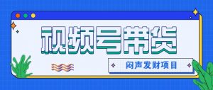 微信视频号带货项目，轻松日赚赚2000+，这个挣钱入口很多伙伴都在闷声发财-聊项目