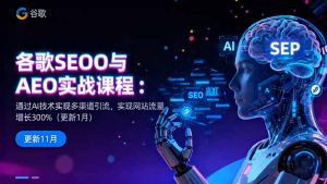 谷歌SEO与AEO实战课程:通过AI技术实现多渠道引流,实现网站流量增长300%-聊项目