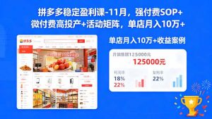 拼多多稳定盈利课-11月,强付费SOP+微付费高投产+活动矩阵,单店月入10万+-聊项目