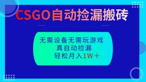 CSGO自动捡漏搬砖，当天操作当天见结果，无需了解游戏，包教包会包落地-聊项目