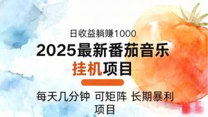 2025年最新番茄音乐人挂机项目,每天几分钟,月入1000+,可矩阵,一台…-聊项目