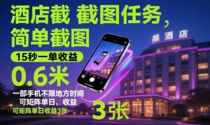 酒店截图任务,简单截图,15秒一单收益0.6米,一部手机不限地方时间,可矩阵单日收益3张【揭秘】-聊项目
