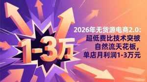 2026年无货源电商2.0:超低费比技术突破自然流天花板,单店月利润1-3万元-聊项目