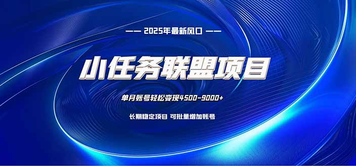 小任务联盟项目：一台电脑每天只需10分钟，轻松简单稳定-聊项目