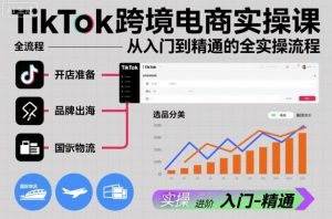 TikTok跨境电商实操课，从入门到精通的全实操流程-聊项目