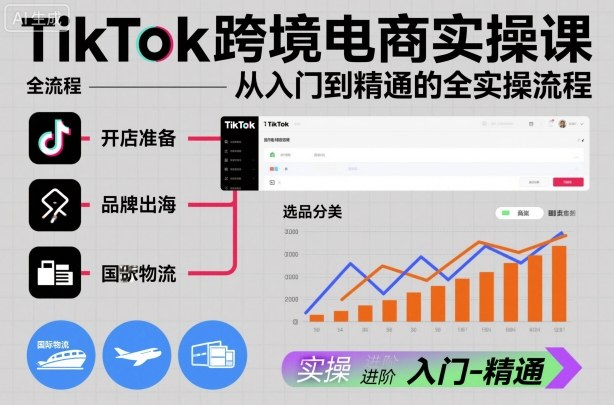 TikTok跨境电商实操课，从入门到精通的全实操流程-聊项目