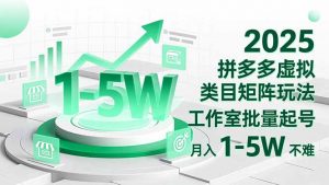 2025 拼多多虚拟类目矩阵玩法，工作室批量起号，月入 1-5W 不难-聊项目