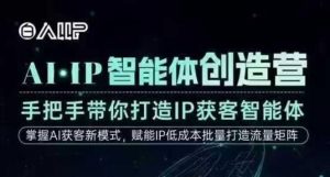 AI·IP智能体创造营，手把手带你打造IP获客智能体，高成交创始人IP课-聊项目