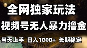 年底最新独家视频号无人直播撸礼物，小白也能轻松日入1k+，长期稳定，可批量复制【揭秘】-聊项目