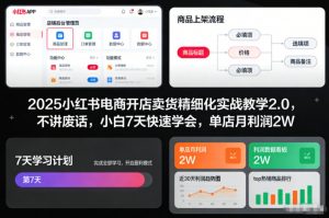 2025小红书电商开店卖货精细化实战教学2.0，不讲废话，小白7天快速学会，单店月利润2W-聊项目